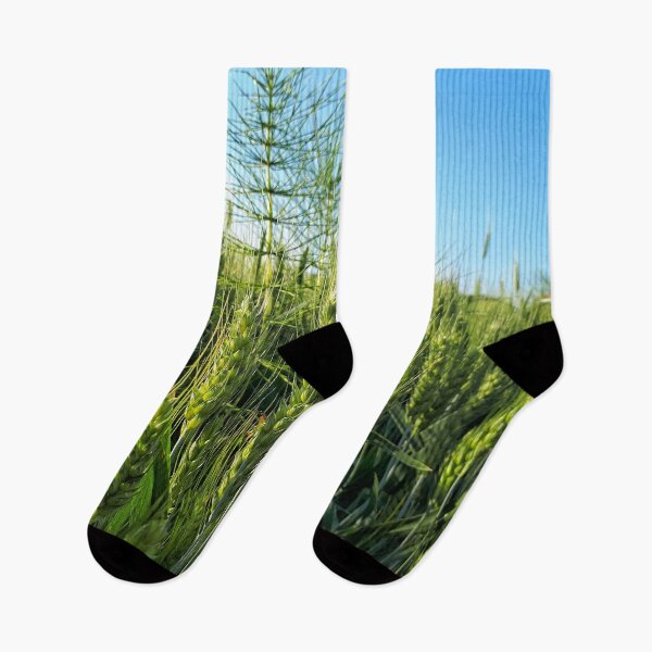 Item preview, Wheat, Sot designed and sold by SasaSafarik95.