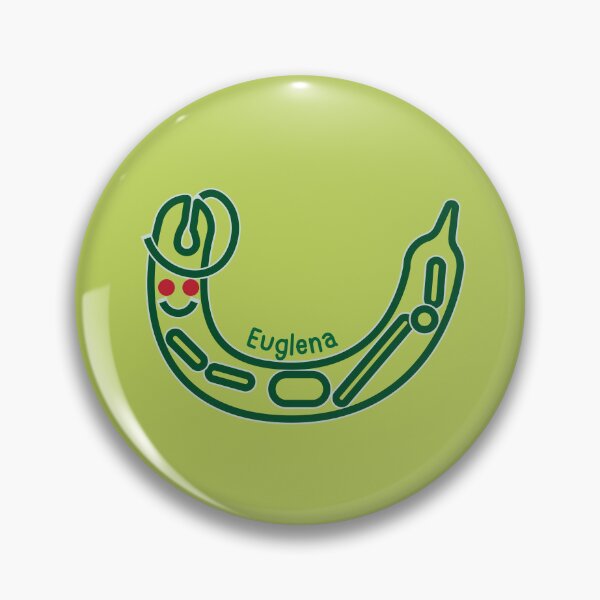 Item preview, Cute algae: Euglena with red eyespot,  Euglenoids cartoon, Freshwater plankton, Microalgae art for scientist designed and sold by thurakitdew.
