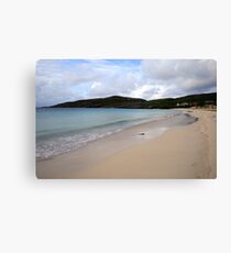 Huisnish Canvas Print