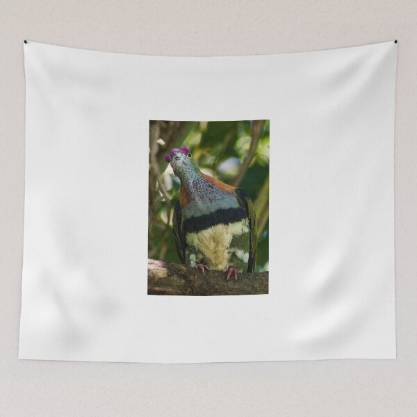 Item preview, Purple-Crowned Fruit-Dove designed and sold by Frits Klijn (klijnfoto.nl).