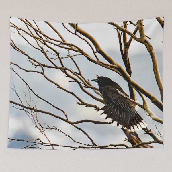 Item preview, A beautiful bird - the Australian Pied Currawong designed and sold by imaginethis.
