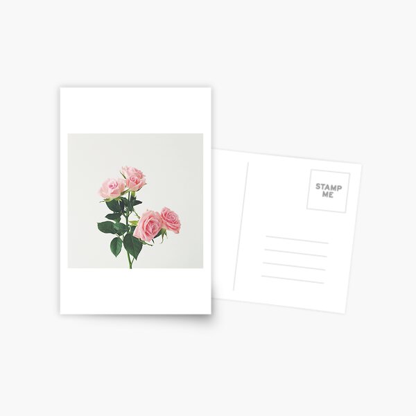 Spring Roses Postcard