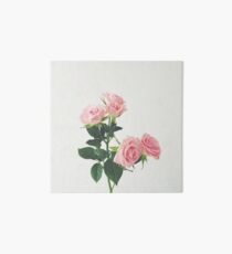 Spring Roses Art Board