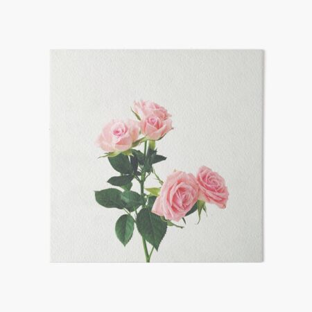 Spring Roses Art Board Print