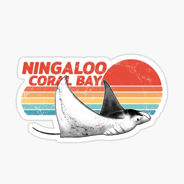 Tiger Shark leggings - Ningaloo Swimwear