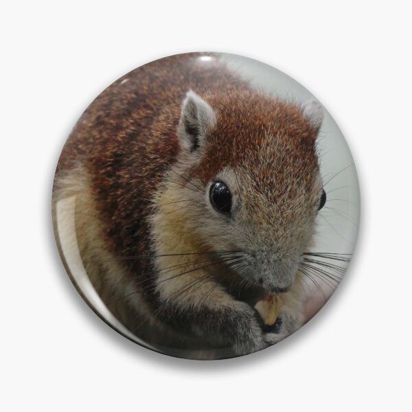 Item preview, Squirrel designed and sold by LeanneAllen.