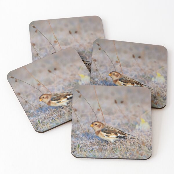 Item preview, Snow Bunting designed and sold by zmphotography.