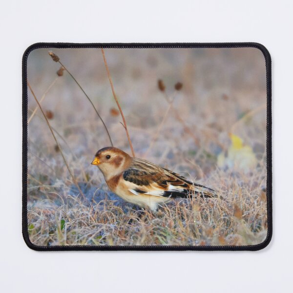 Item preview, Snow Bunting designed and sold by zmphotography.