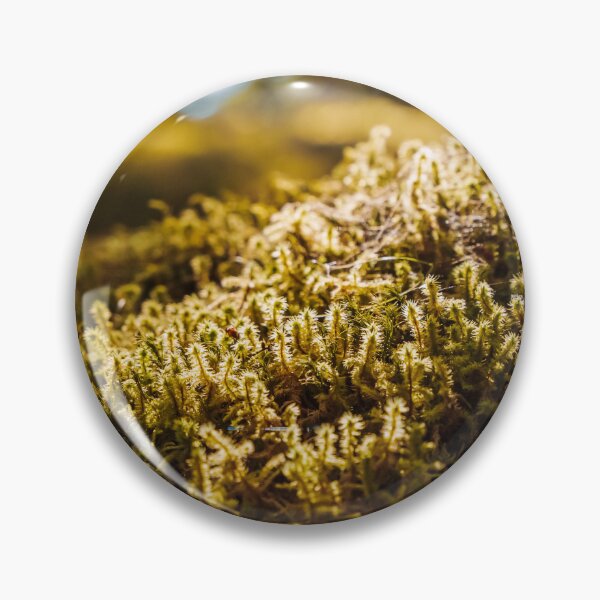 Item preview, Overgrown moss - photo designed and sold by CineWanderlust.
