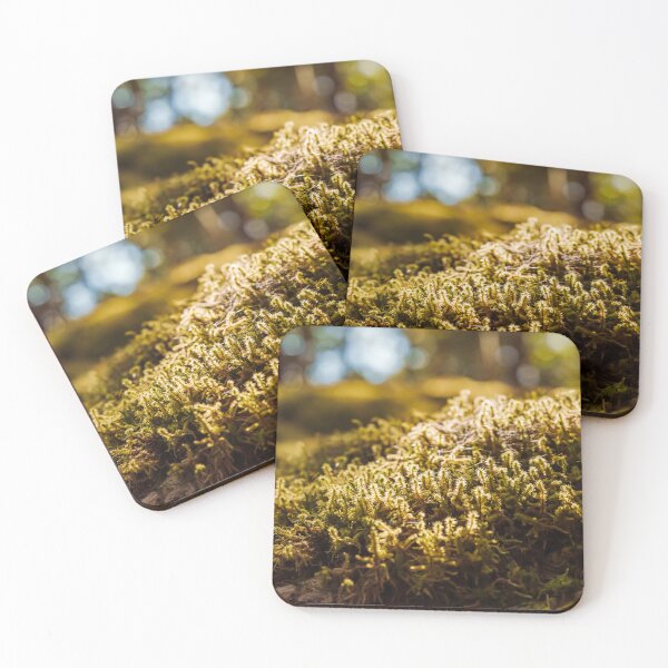 Item preview, Overgrown moss - photo designed and sold by CineWanderlust.