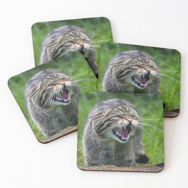 Item preview, The Scottish Wildcat designed and sold by Tom McPherson Photography.