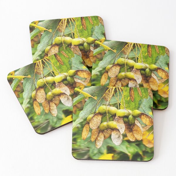 Item preview, Sugar Maple Tree in the Fall 1 designed and sold by SXW Designs.