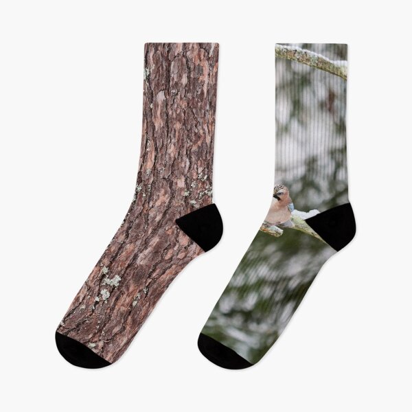 Item preview, By the pine. Eurasian jay designed and sold by Jouko Lehto Photography.
