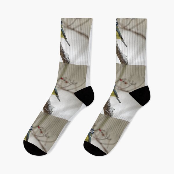 Item preview, Through the winter. Eurasian blue tit designed and sold by Jouko Lehto Photography.