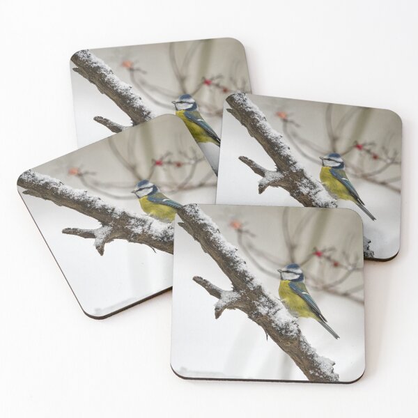 Item preview, Through the winter. Eurasian blue tit designed and sold by Jouko Lehto Photography.