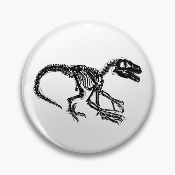 Item preview, Velociraptor skeleton  designed and sold by AderynValentine.