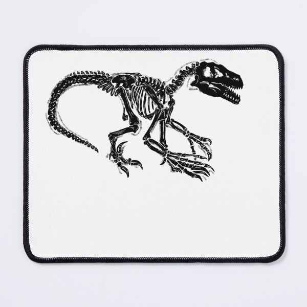 Item preview, Velociraptor skeleton designed and sold by AderynValentine.