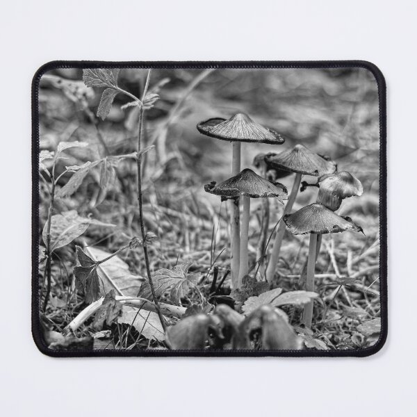 Item preview, Enchanted Undergrowth designed and sold by Redheadwonders.