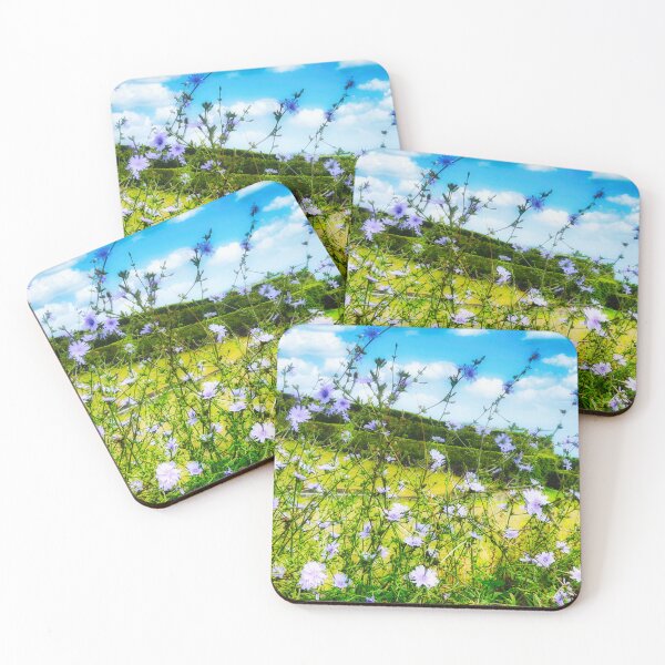 Item preview, Cichorium Pumilum Flower in Nature designed and sold by Marco Sales.