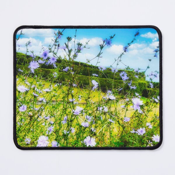 Item preview, Cichorium Pumilum Flower in Nature designed and sold by Marco Sales.