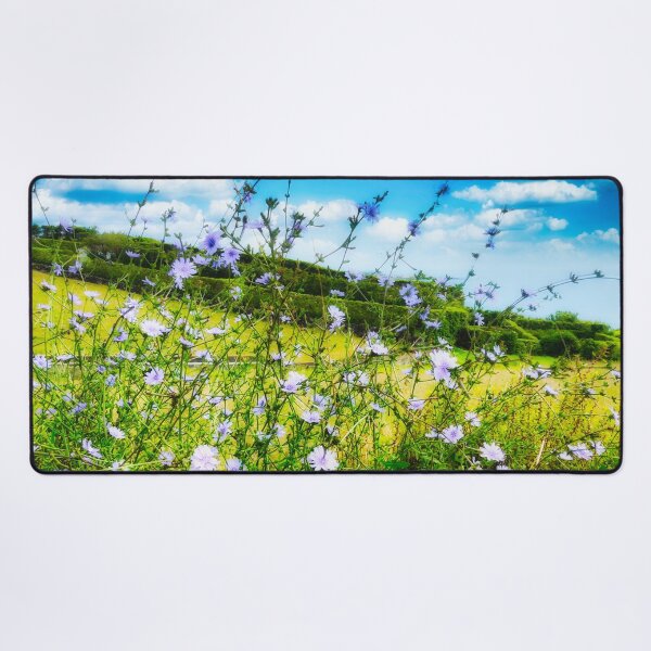 Item preview, Cichorium Pumilum Flower in Nature designed and sold by Marco Sales.