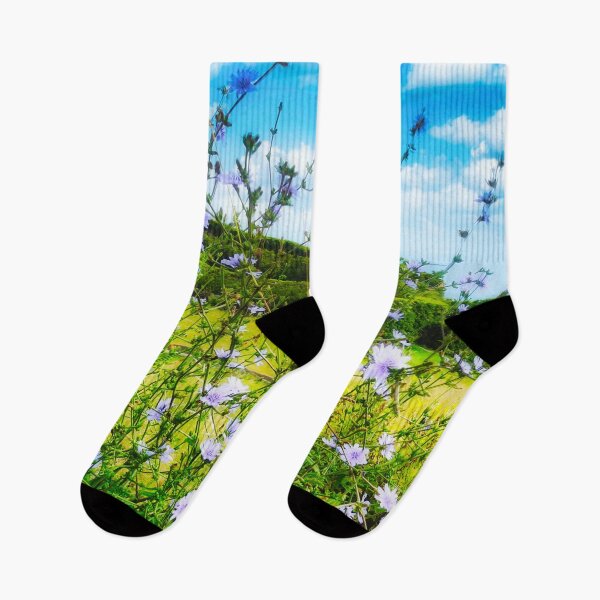 Item preview, Cichorium Pumilum Flower in Nature designed and sold by Marco Sales.