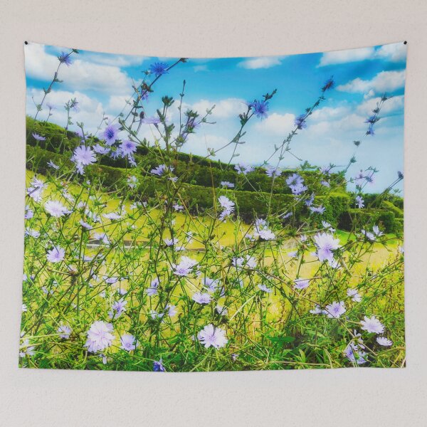Item preview, Cichorium Pumilum Flower in Nature designed and sold by Marco Sales.