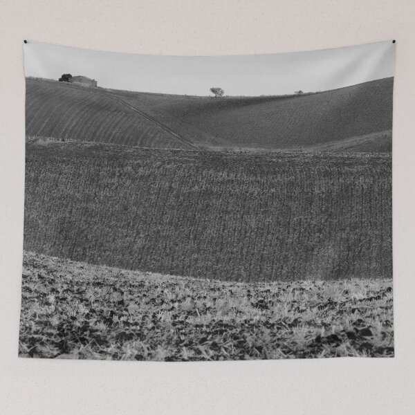 Item preview, 2010 Terra di Molise #03 designed and sold by robertoferrero.