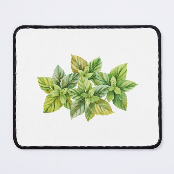 Item preview, Fresh Mint Leaves designed and sold by Blink Art Studio.