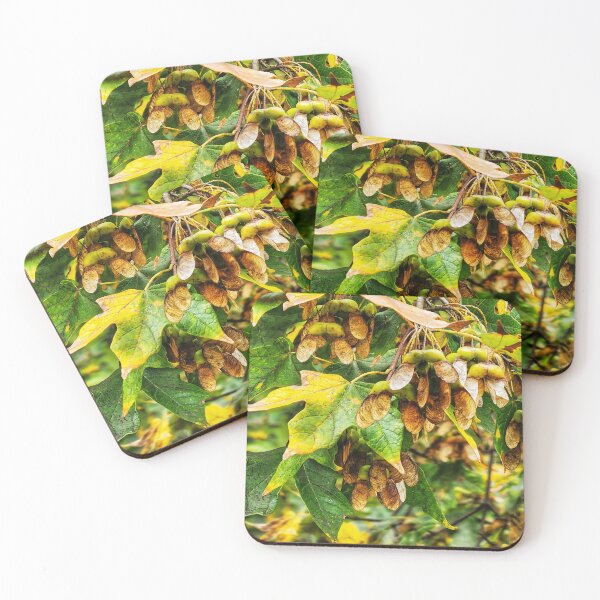 Item preview, Sugar Maple Tree in the Fall 2 designed and sold by SXW Designs.
