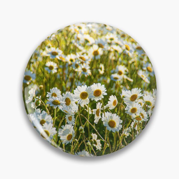 Item preview, Daisies Through a Fish-Eye Lens designed and sold by Redheadwonders.