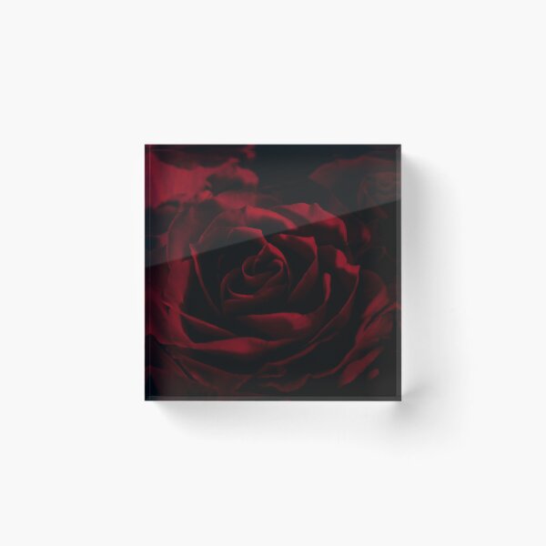 Item preview, So red the rose designed and sold by sdkbphotography.