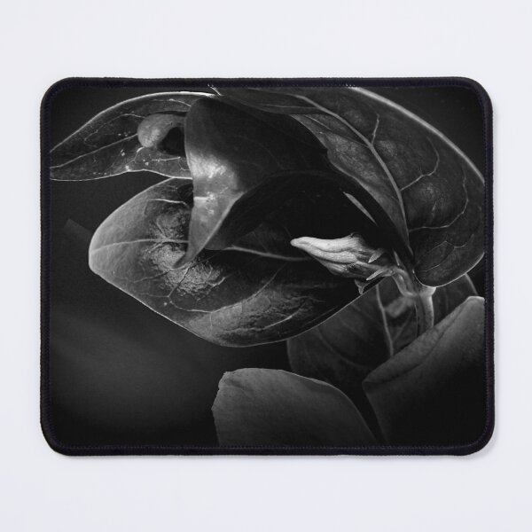 Item preview, Still life bud designed and sold by Opticalrecep39.