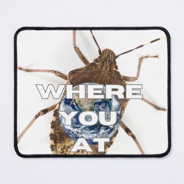 Item preview, Wandering Stink Bug designed and sold by Ginette Torres Bernardini.