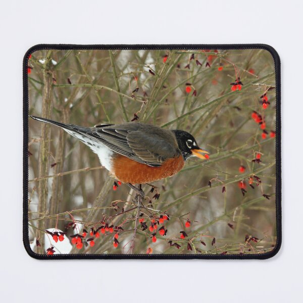 Item preview, This One Looks Good designed and sold by Debbie Oppermann.