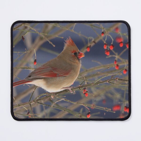 Item preview, Red Bird Red Fruit designed and sold by Debbie Oppermann.