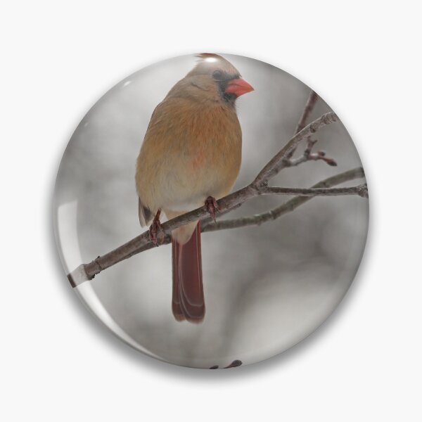 Item preview, Sitting Pretty designed and sold by Debbie Oppermann.