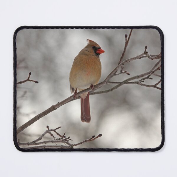 Item preview, Sitting Pretty designed and sold by Debbie Oppermann.