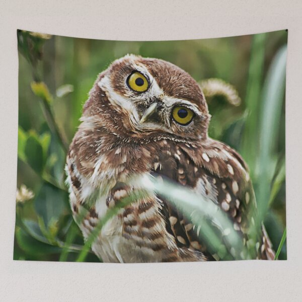 Item preview, Owl designed and sold by Dawn van Doorn.