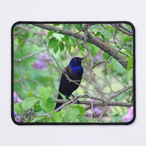 Item preview, Black Bird Amidst The Lilacs designed and sold by Debbie Oppermann.