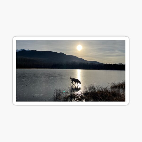 Item preview, SunDog on Ice designed and sold by Alaska’s Good Daisy Merch.