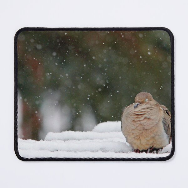 Item preview, Cold Snooze designed and sold by Debbie Oppermann.