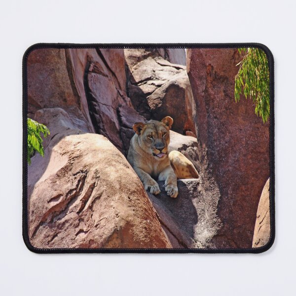 Item preview, African Lioness designed and sold by Debbie Oppermann.
