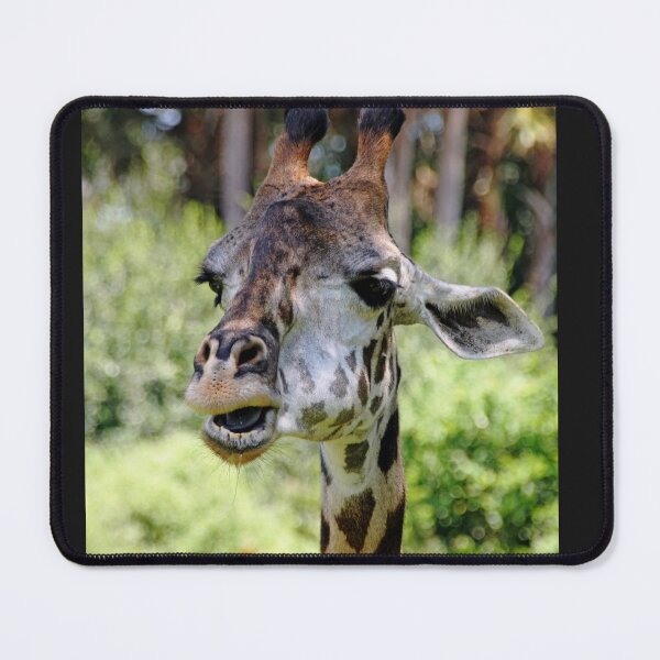 Item preview, Patches designed and sold by Debbie Oppermann.