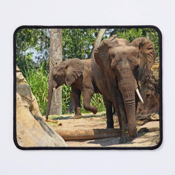 Item preview, Wrinkles designed and sold by Debbie Oppermann.