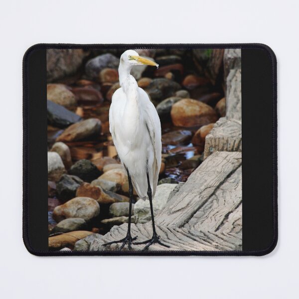 Item preview, Great Egret designed and sold by Debbie Oppermann.