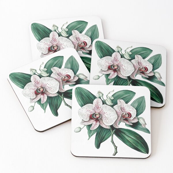 Item preview, Beautiful Pink Phalaenopsis Orchid designed and sold by LanaGustavsson.