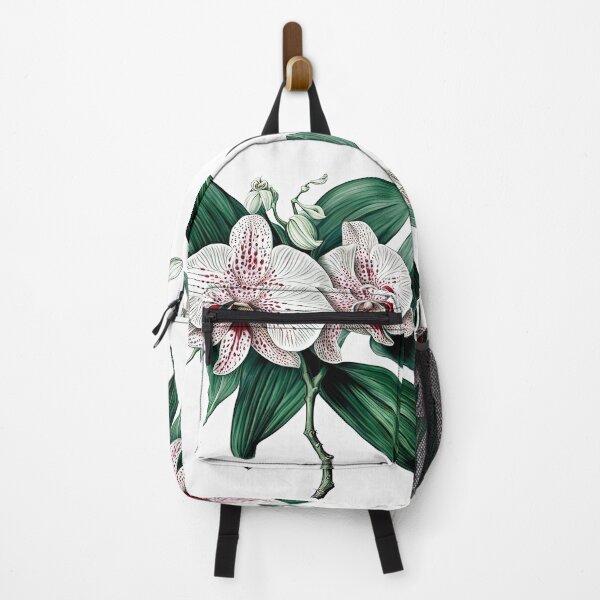 Item preview, Beautiful Pink Phalaenopsis Orchid designed and sold by LanaGustavsson.