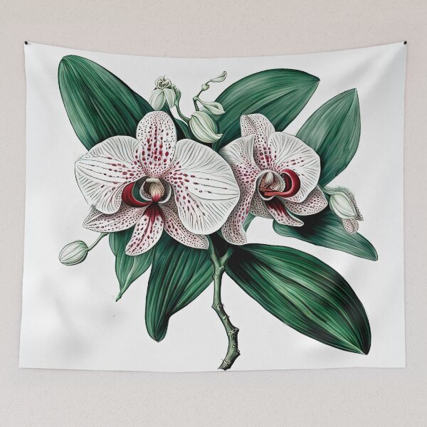 Item preview, Beautiful Pink Phalaenopsis Orchid designed and sold by LanaGustavsson.