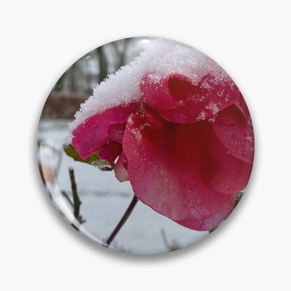 Item preview, Summer Rose and Winter Snow designed and sold by Violaman.
